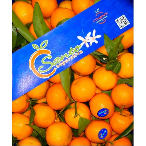 Clementinky s lístkem kalibr 2 Calábrie Itálie PQ kg 