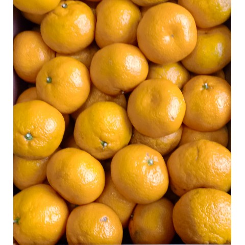 Mandarinky velké Španělsko kg