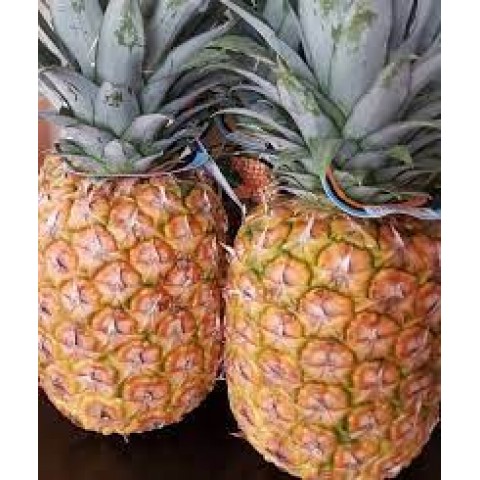 Ananas BY-AIR letecky ks OČEKÁVÁME 14.12.