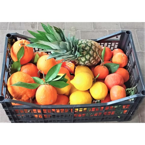 Bedýnka Vitamínová bomba velká 8,50 kg