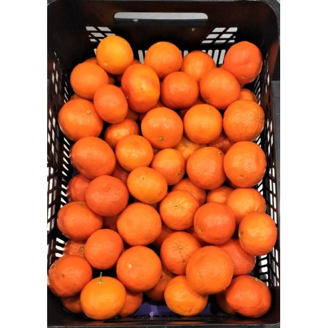 AKCE Mandarinky Clemenules cena za BEDÝNKU 5 kg
