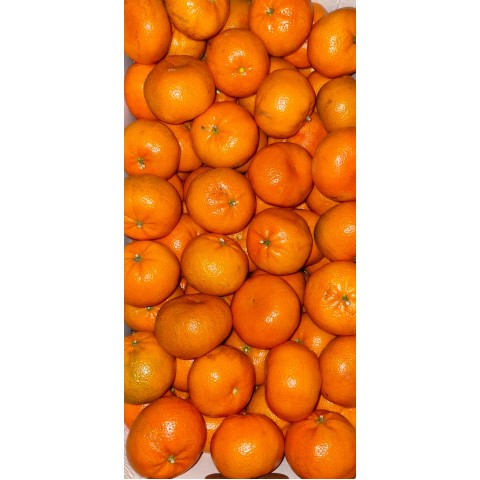 Mandarinky Egypt kg větší plody