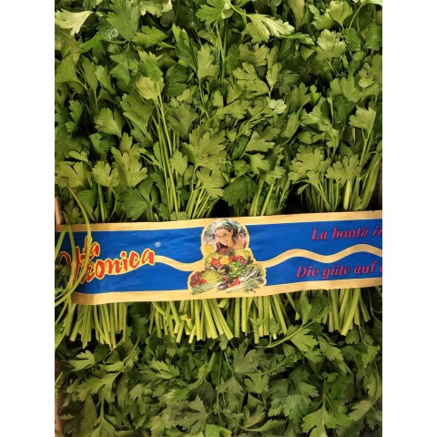 Petrželová nať hladkolistá svazek 100g
