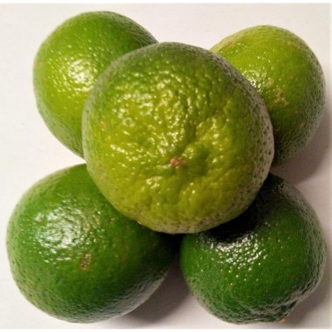 Limety Brazílie kg 