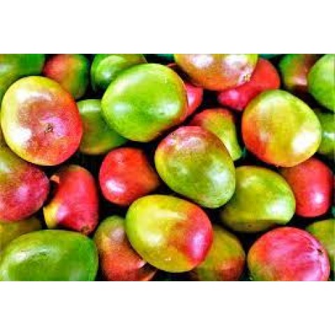 Mango Ready to eat ks 500g + 