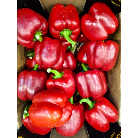 Paprika California červená kg