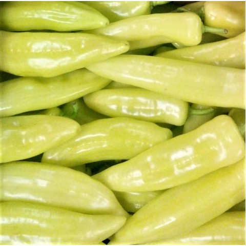 Paprika bílá kg OČEKÁVÁME 10.12