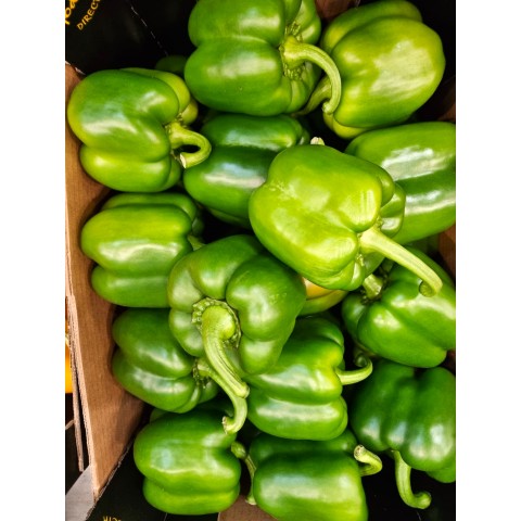 Paprika California zelená kg