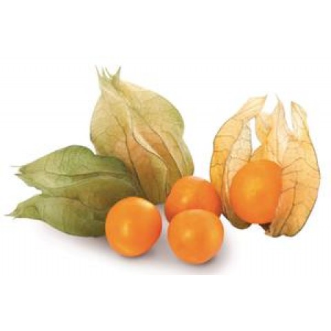 Physalis Mochyně vanička 100 g