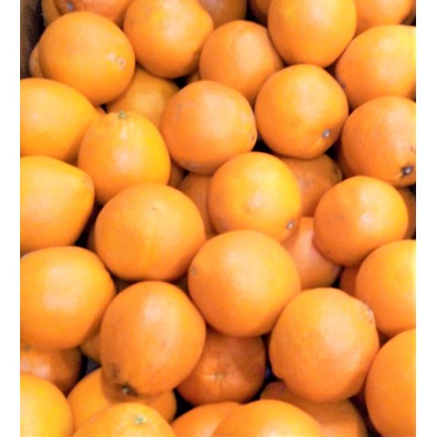 Pomeranče kg 