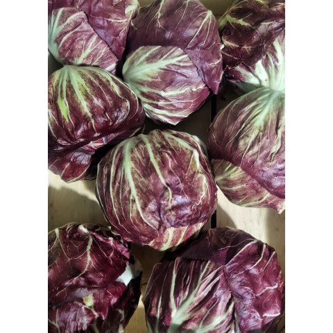 Radicchio červené kulaté kg 