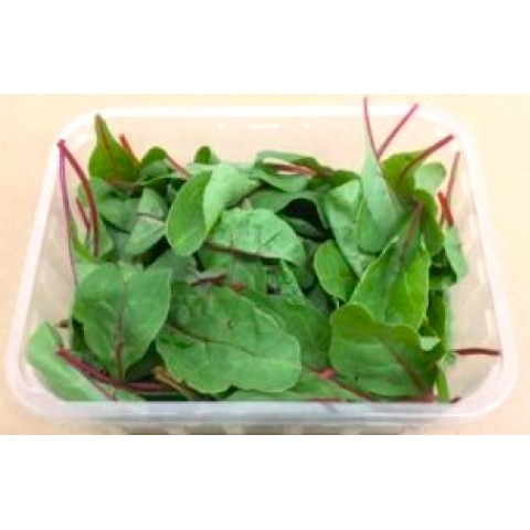 Red Chard - lístky červené řepy bal. 125 g
