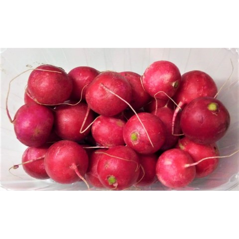 Ředkvičky kuličky bez natě 500 g 