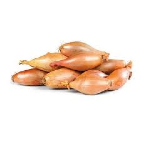 Cibule šalotka kg